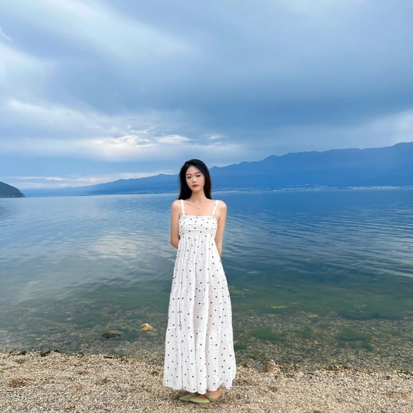 New Zara Embroidered Floral Dress - 0881/323 - Picture 16 of 16